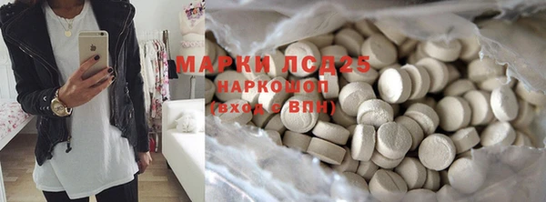 гашик Вяземский