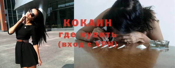 гашик Вяземский