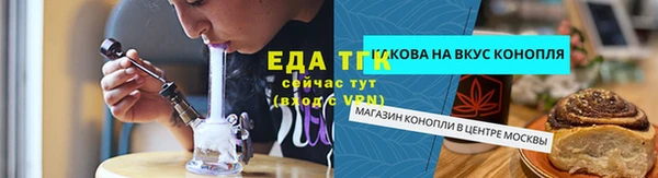 гашик Вяземский