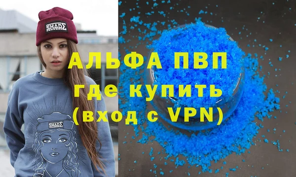 гашик Вяземский