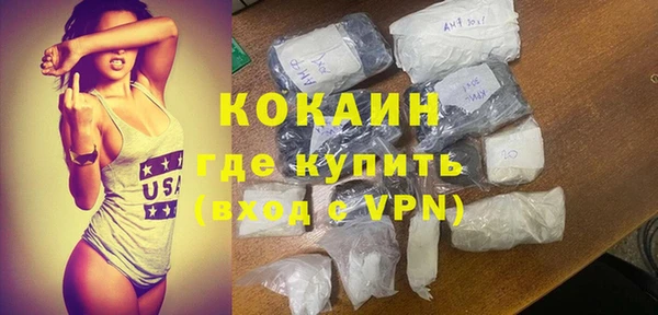 гашик Вяземский