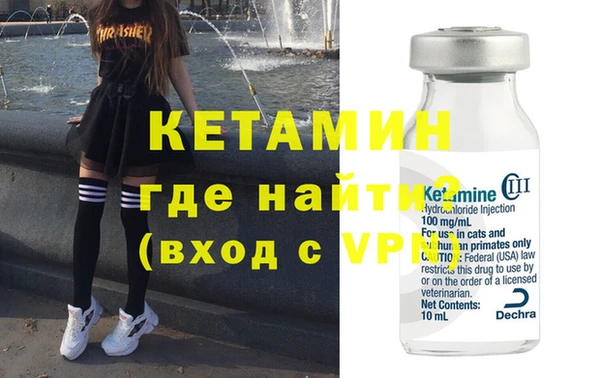 гашик Вяземский