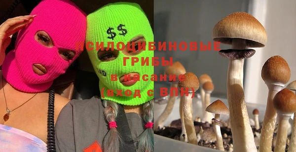спайс Вязьма
