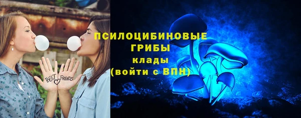 гашик Вяземский