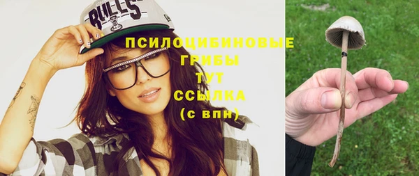 гашик Вяземский